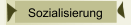 Sozialisierung